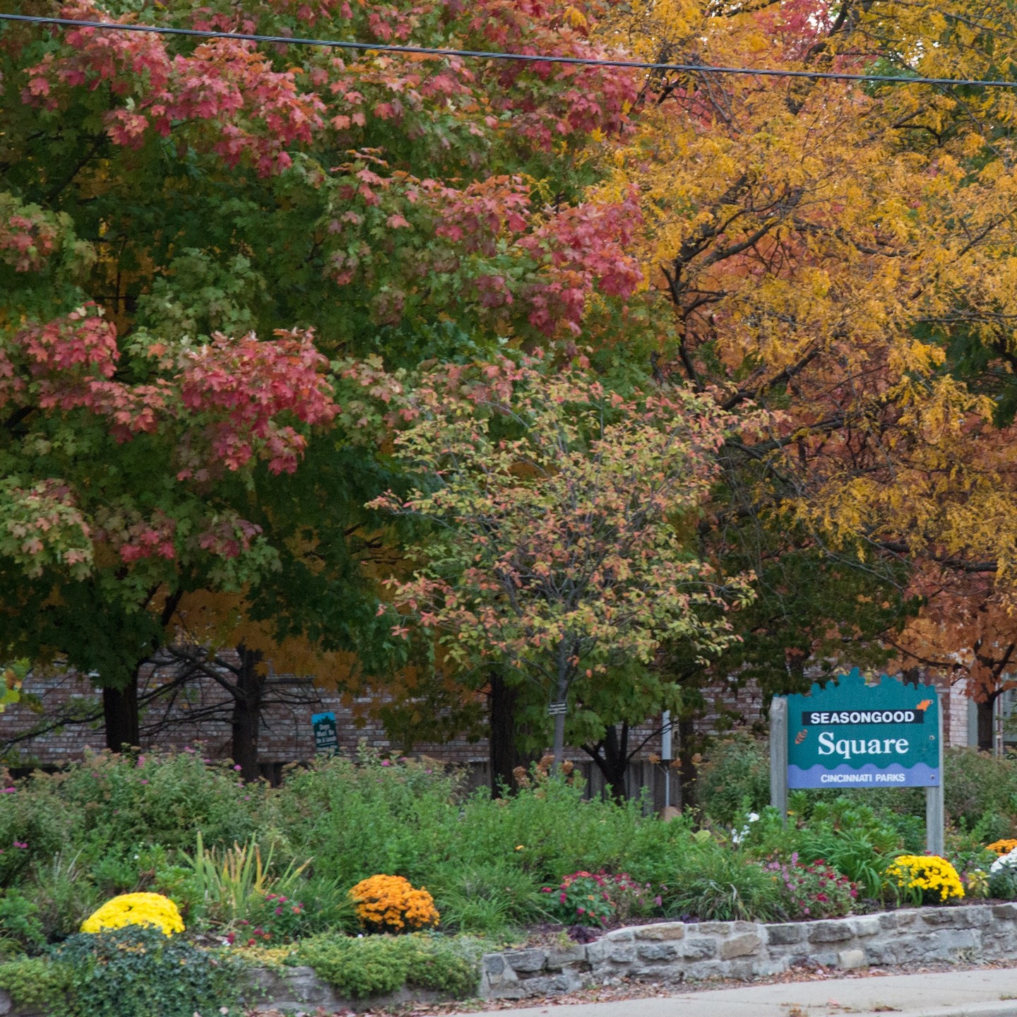 Visit the link in our profile for new stories, events and activities coming up in North Avondale. #northavondale #northavondalecincinnati #northavondaleohio