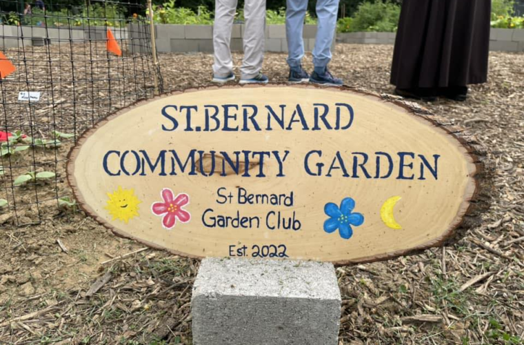 NANA The North Avondale Neighborhood Association